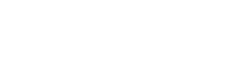 Elecsur